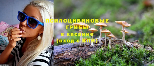 соль ск Арсеньев