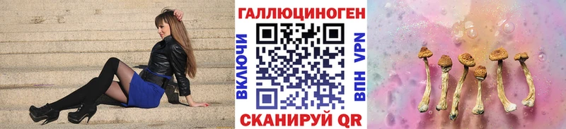 shop формула  как найти наркотики  Каневская  Галлюциногенные грибы прущие грибы 